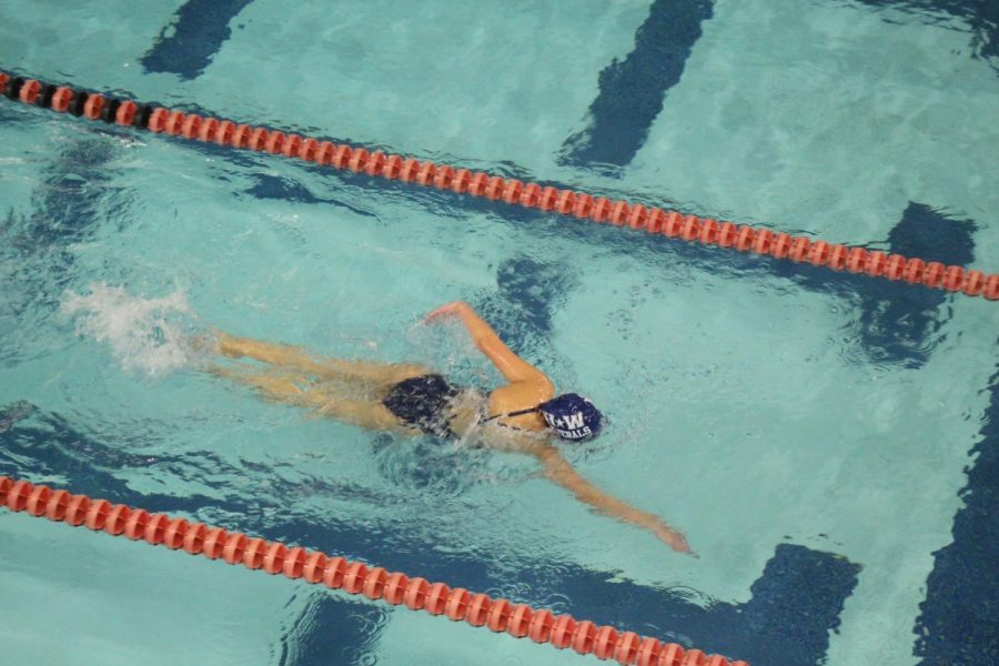 Sophomore Taylor Massimi swims the Girls’ 200 freestyle. 