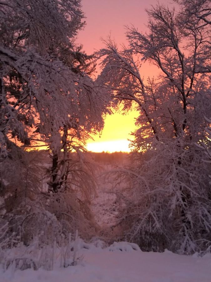 snow-days-or-no-days-the-general-consensus