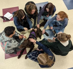 Frisco helps calm a group of ninth graders after a hard day of tests and on-demand writing. 