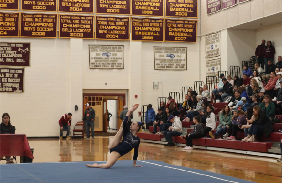 Gymnasts Flip Their Way To Sectionals