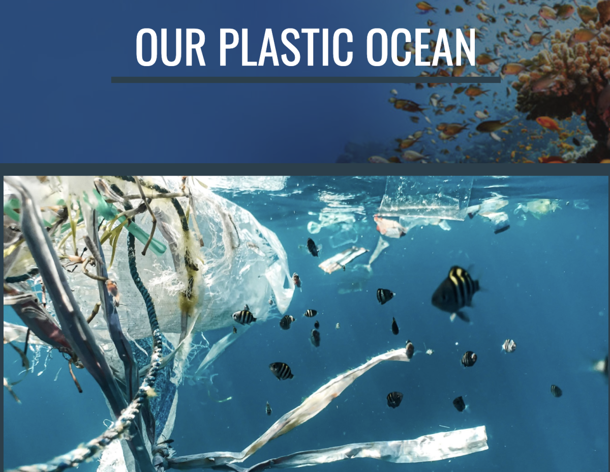 Image from the website Our Plastic Ocean, which was created by the author.